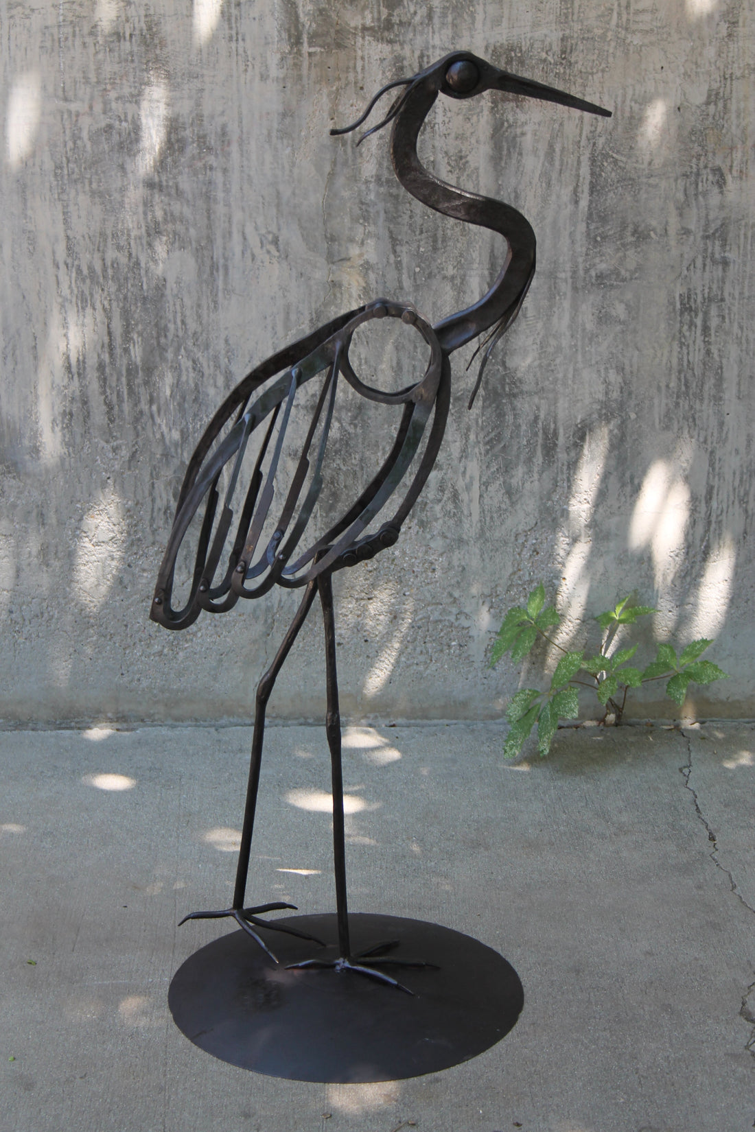 Endangered Species and the Power of Conservation