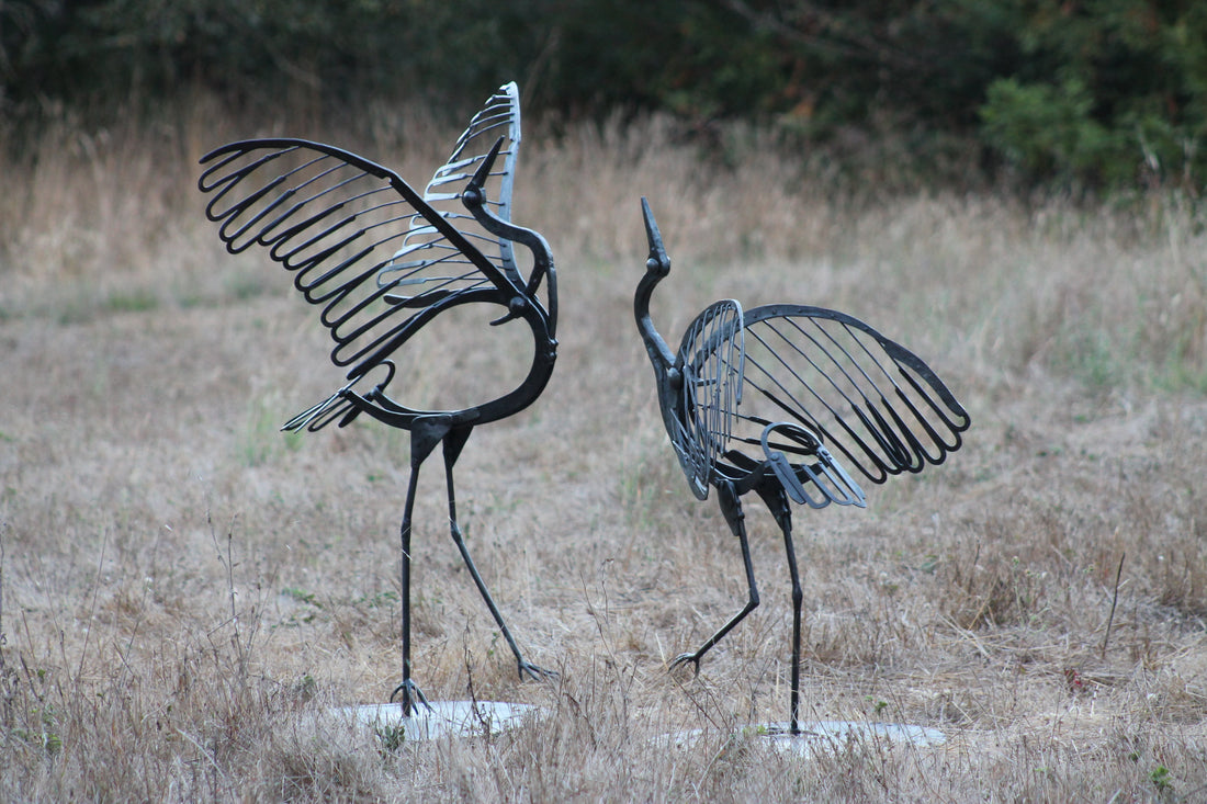 Did We Miss the Boat?